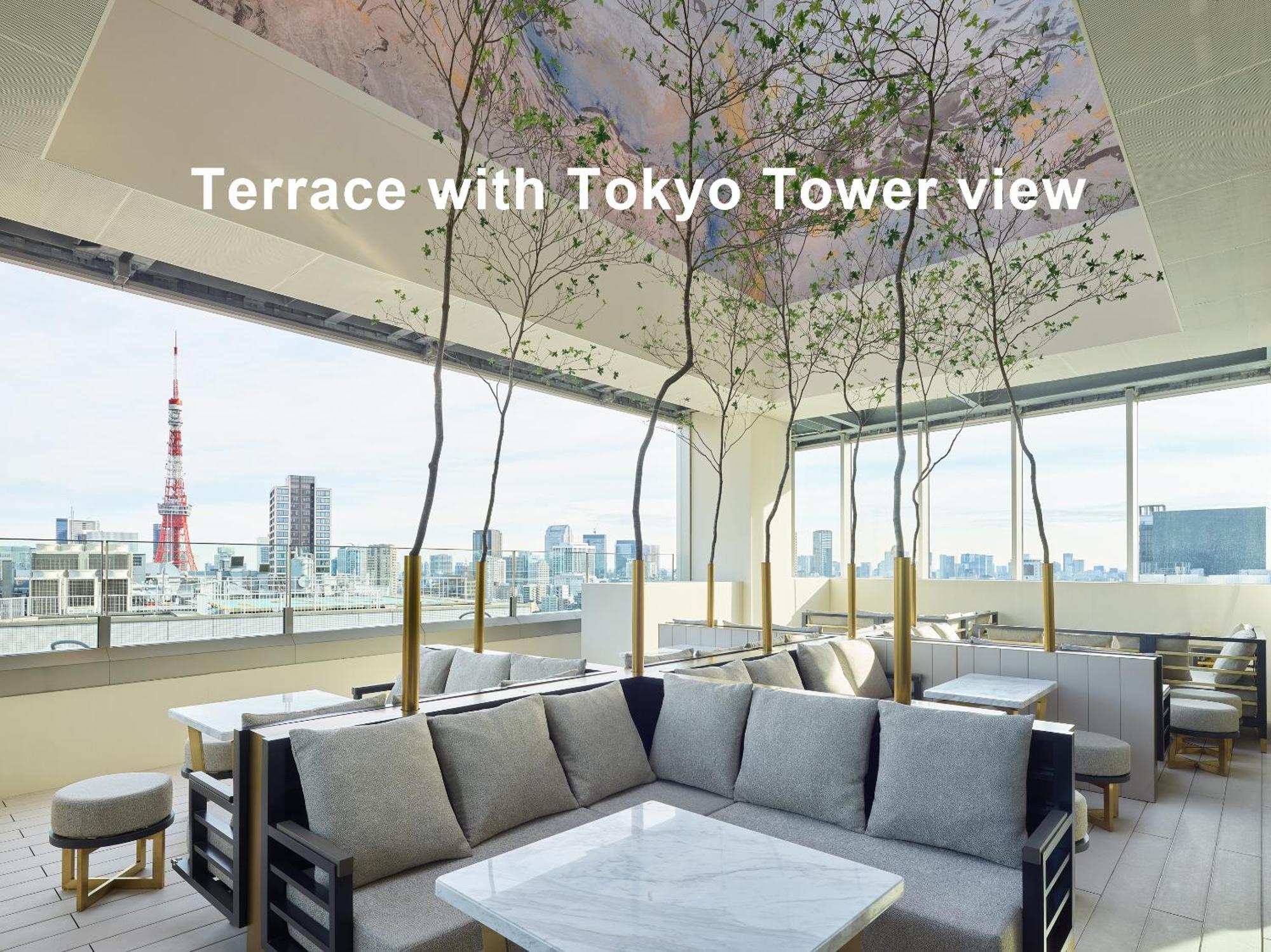 Mitsui Garden Hotel Roppongi Tokyo Premier Экстерьер фото Terrace with Tokyo Tower view